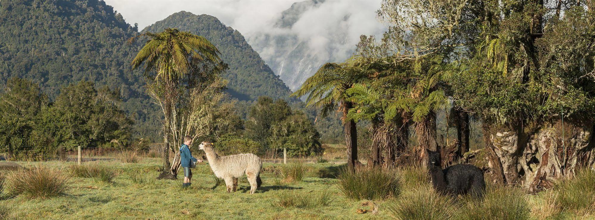 Glenfern Villas Franz Josef Exteriér fotografie